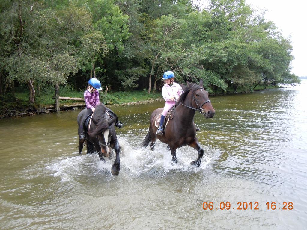 Ross House Equestrian Holidays Villa Mountnugent Exterior foto